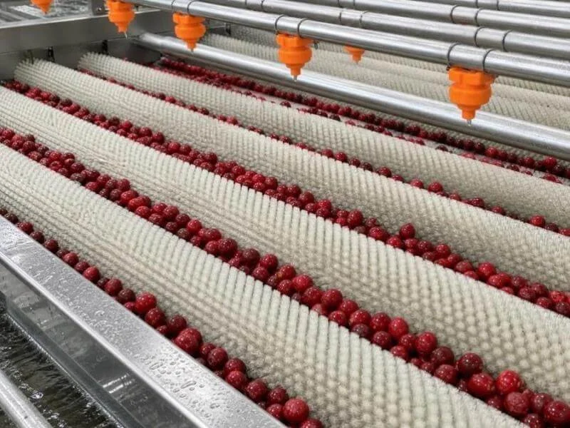 Vegetable Washing Machine