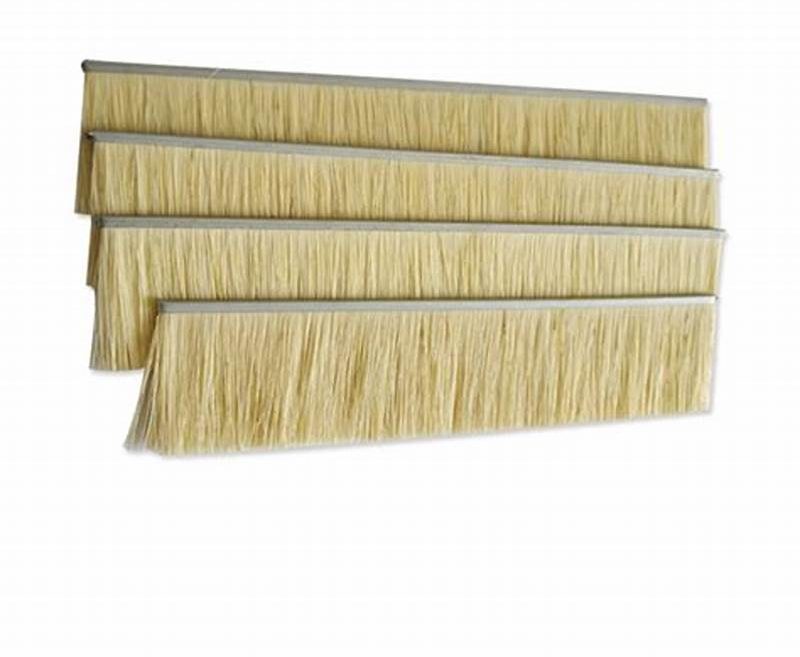 Sisal Wire Stainless Steel Based Strip Brush