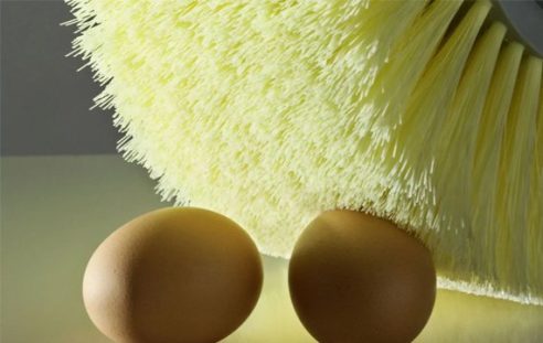food cleaning brush