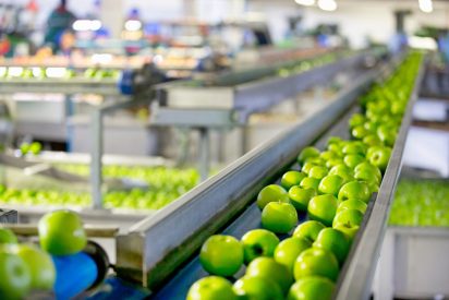Why Use a Fruit Cleaning Brush