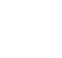Road Cleaning Brush
