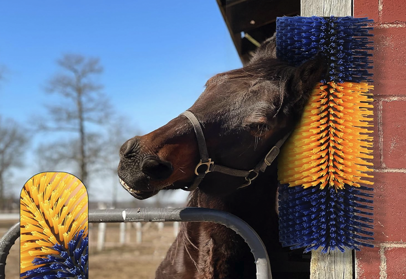 horse scratching brush
