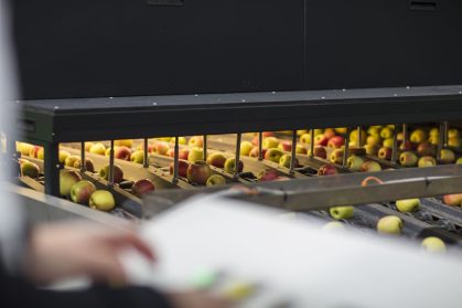 How to Properly Wash Fruits and Vegetables