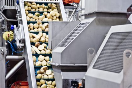 potatoes food processing