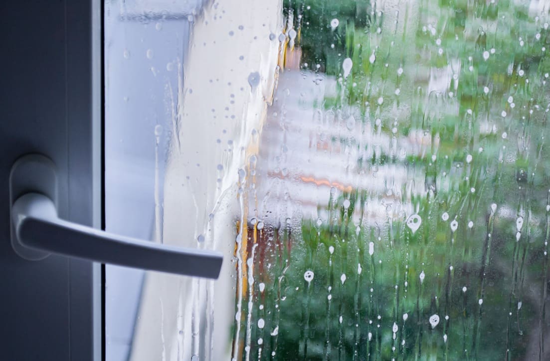 window cleaning