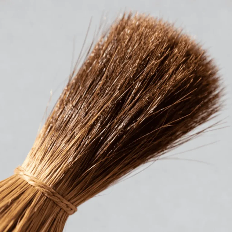 Horsehair brush bristles